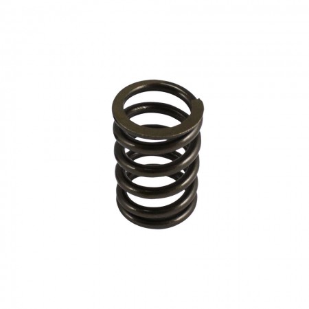 Ressorts de soupapes Type 4 pour Volkswagen Combi T2, Porsche 914, et Porsche 912 E.